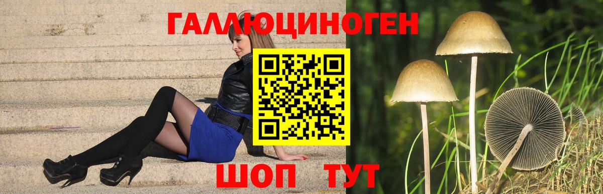Галлюциногенные грибы мицелий  Псилоцибиновые грибы Cubensis  Вход с VPN  Краснодар 
